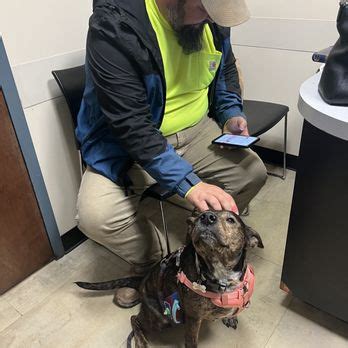 the village vets decatur reviews|The Village Vets, 217 North McDonough Street, Decatur, .